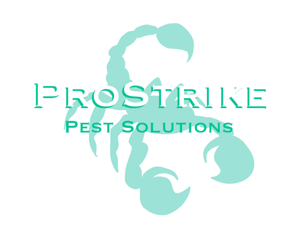 ProStrike Pest Solutions — Pest Control Company Queen Creek AZ
