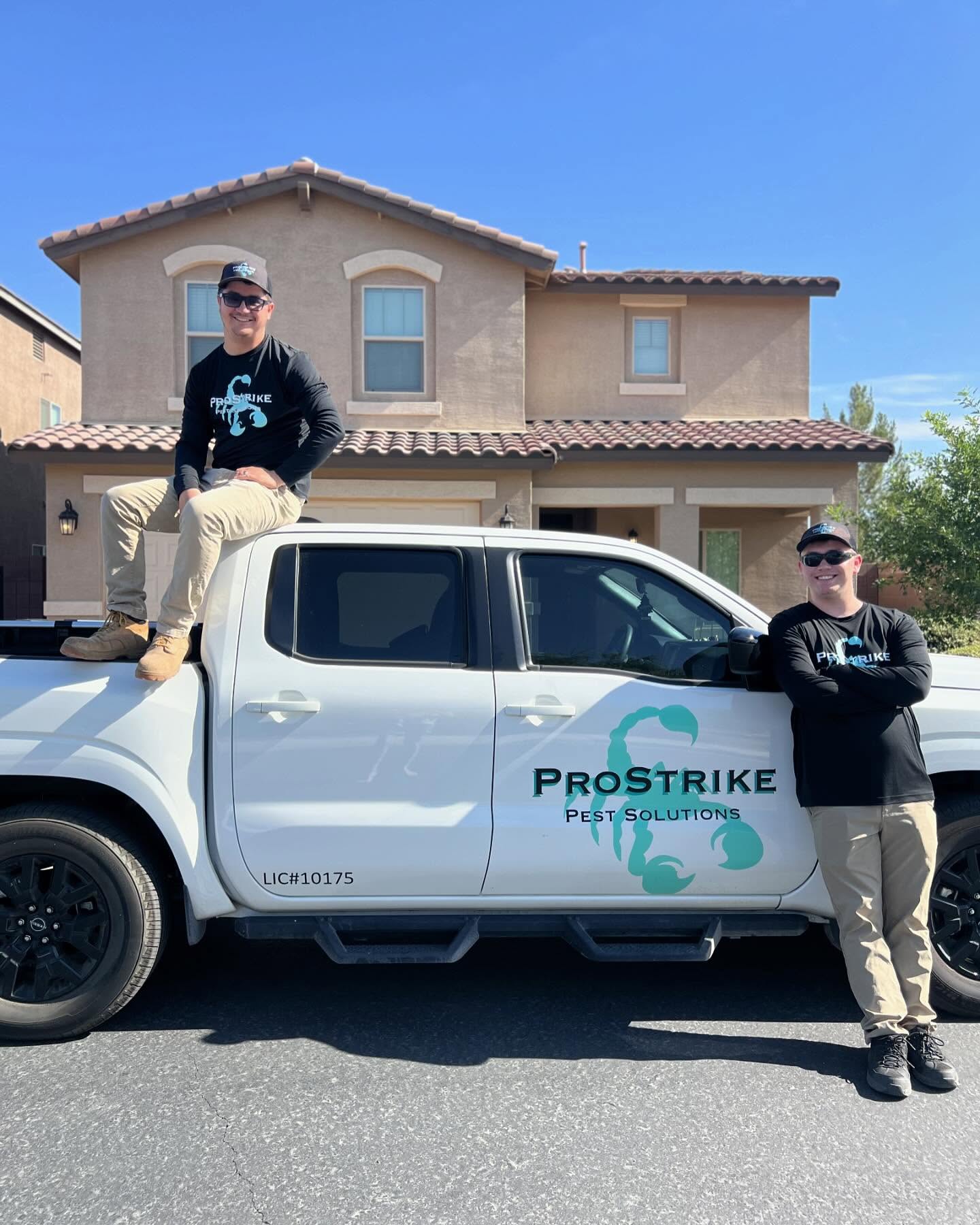 Pest Control Services We Offer in Queen Creek, AZ