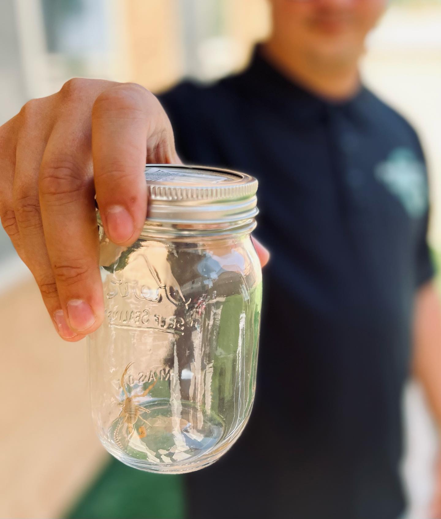 Scorpion Control in Queen Creek, AZ — Targeted Treatment That Actually Works