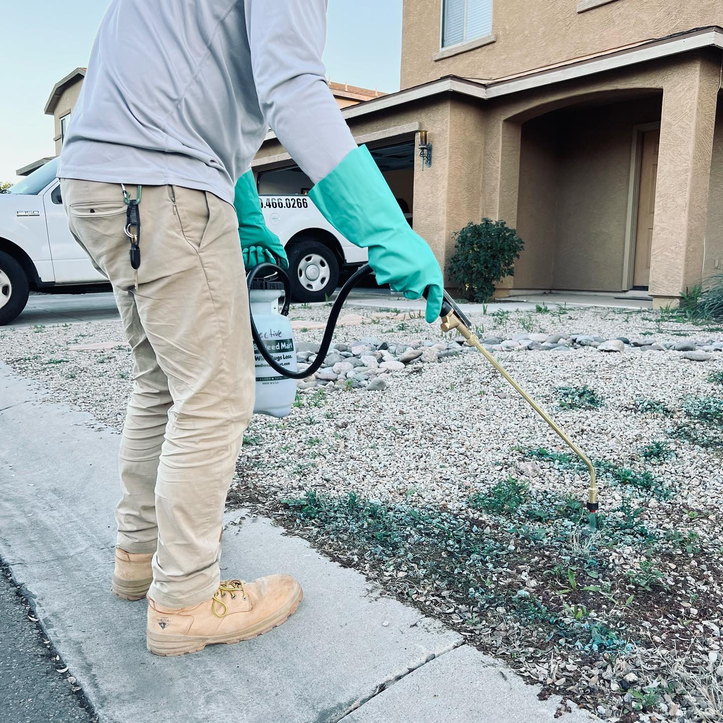 Pest Control in Queen Creek, AZ — Local Experts Who Actually Live Here