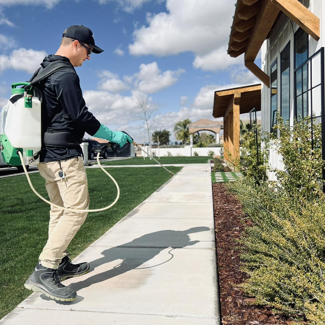 Mosquito Control in Queen Creek, AZ — Take Your Yard Back
