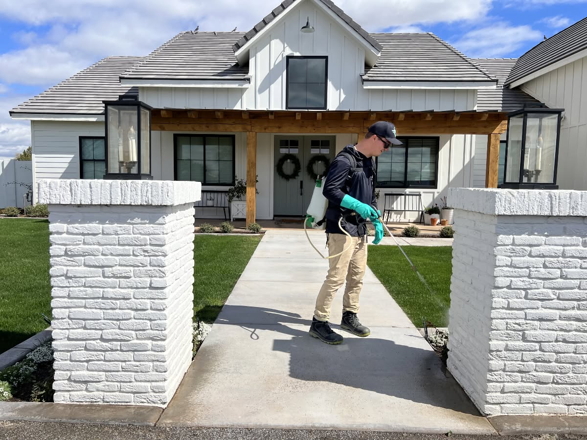 General Pest Control in Queen Creek, AZ