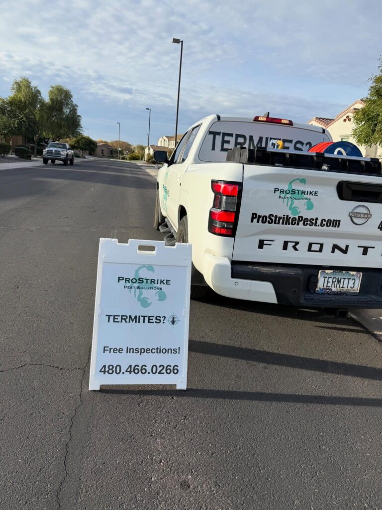 Local, Family-Owned Pest Control in Queen Creek, AZ