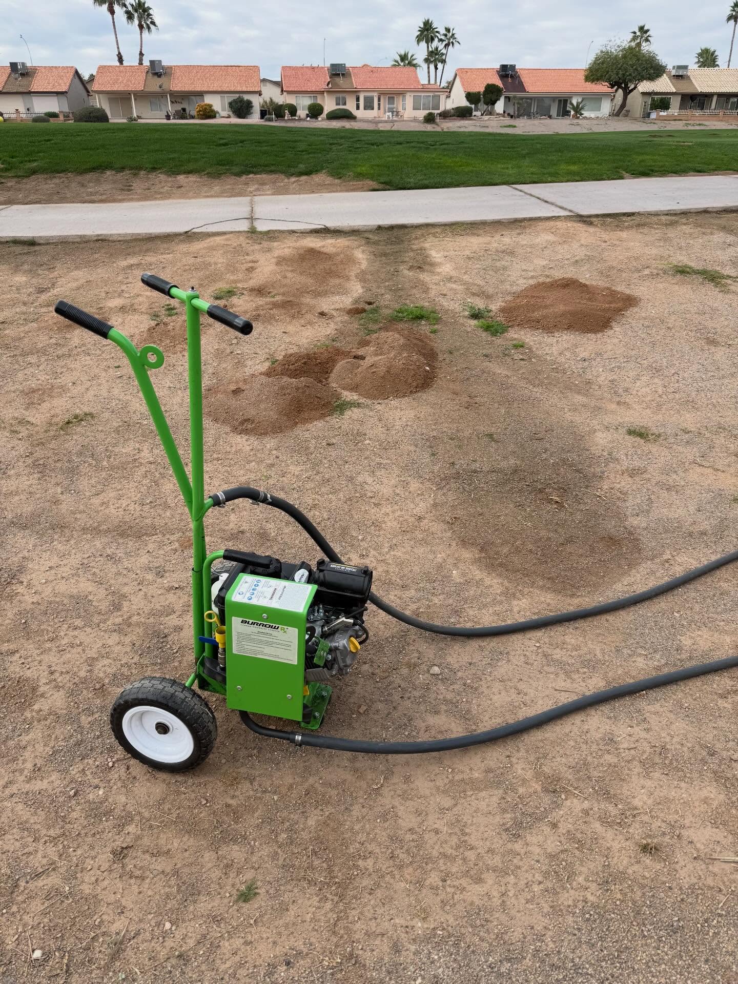Professional rodent control equipment and service vehicle parked in a Queen Creek residential area for a rat and mouse exclusion project.