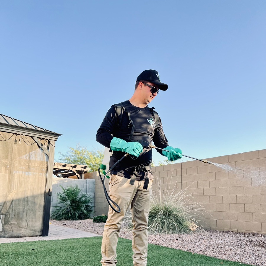 Pest Control in Queen Creek, AZ That Keeps Pests Out for Good