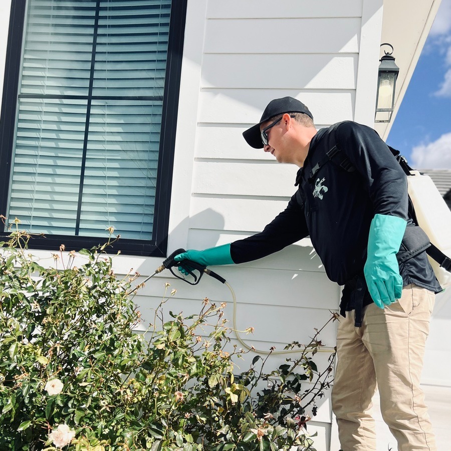 ProStrike Pest Solutions team providing seasonal mosquito fogging and larvae control services for homes across the East Valley, AZ