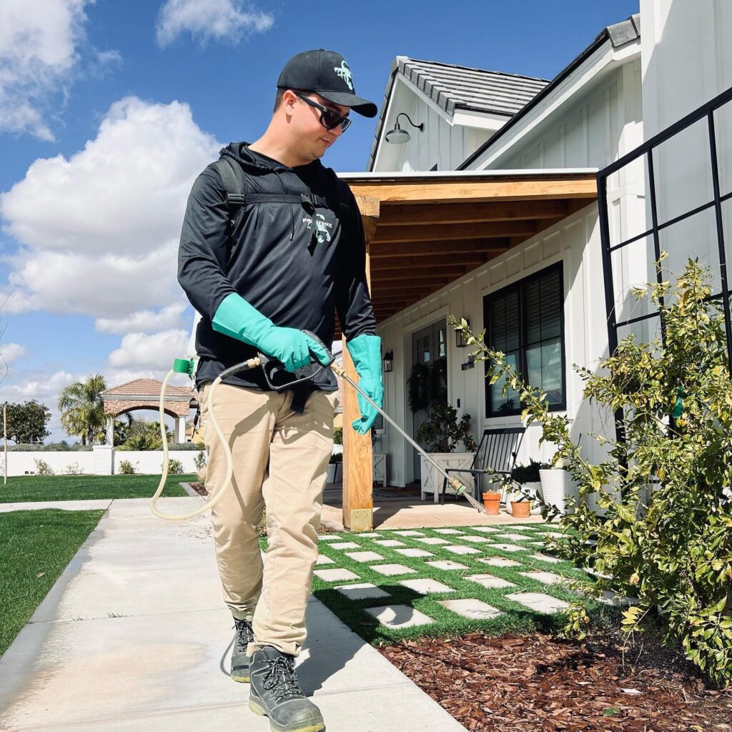 Professional Termite Control Services in Queen Creek: Safeguarding Your Property