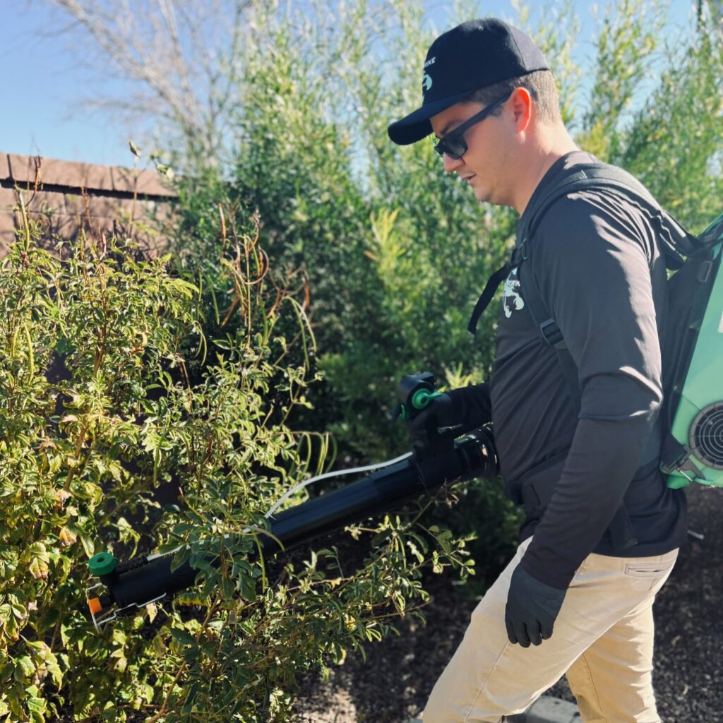 Complete Guide to Scorpion Control Services in Queen Creek, AZ