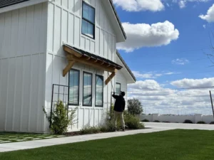 Complete Guide to Scorpion Control Services in Queen Creek, AZ