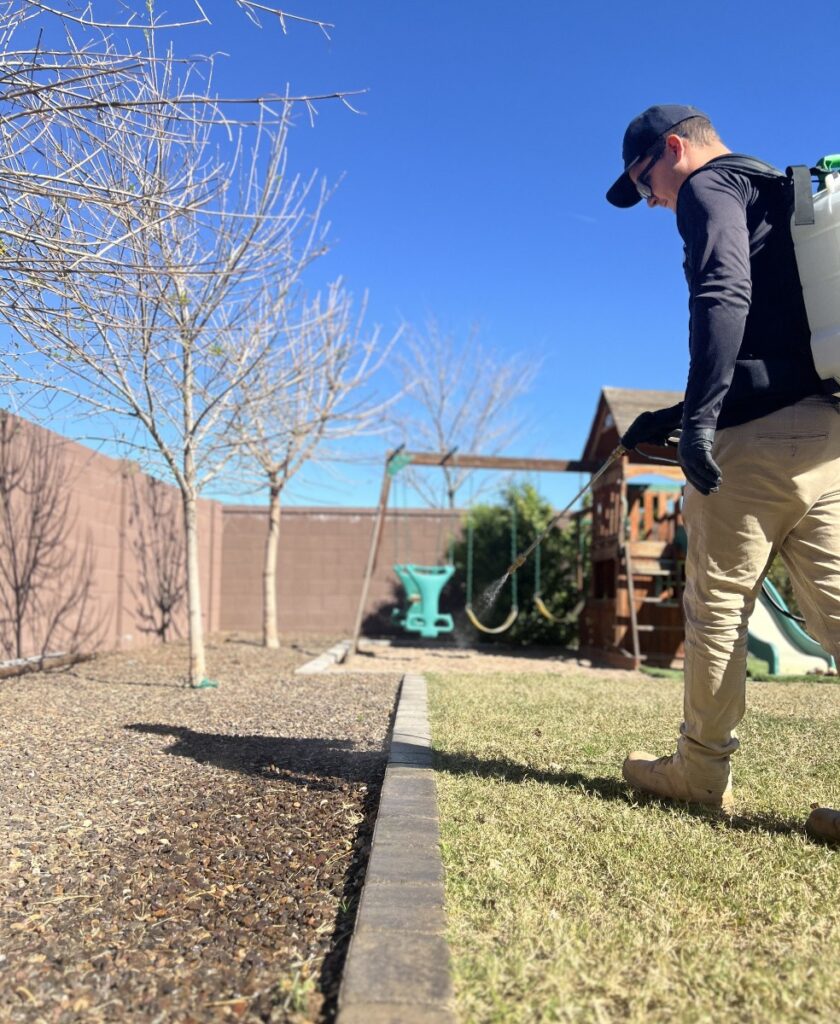 Termite Inspections in Gilbert, AZ