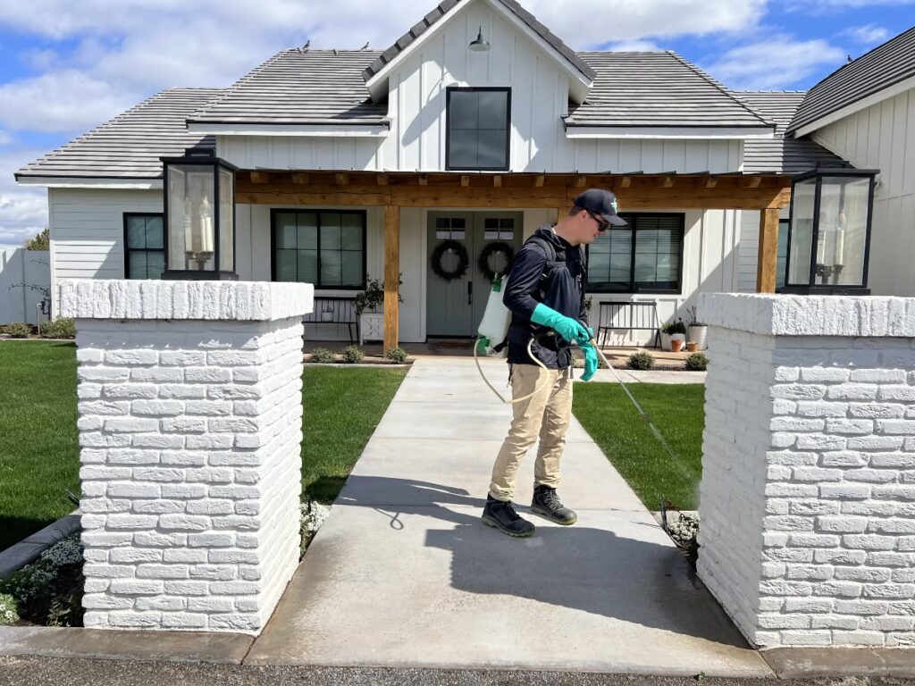 How to Protect Your Queen Creek Home From Costly Termite Damage